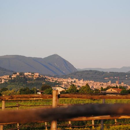 Agriturismo Il Barco Spello Exterior photo