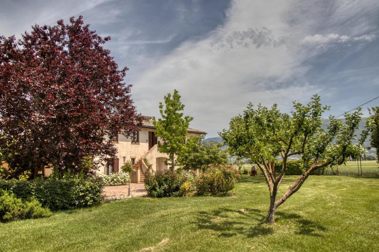 Agriturismo Il Barco Spello Exterior photo