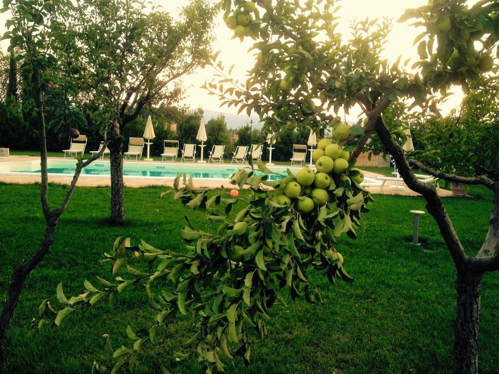 Agriturismo Il Barco Spello Exterior photo